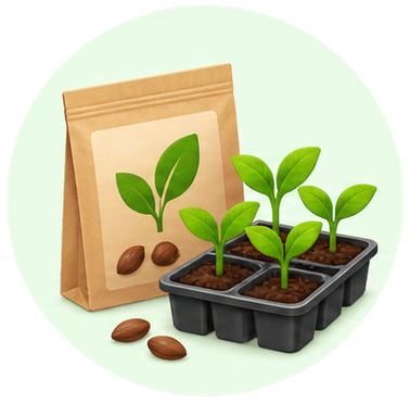 Seeds & Nursery
