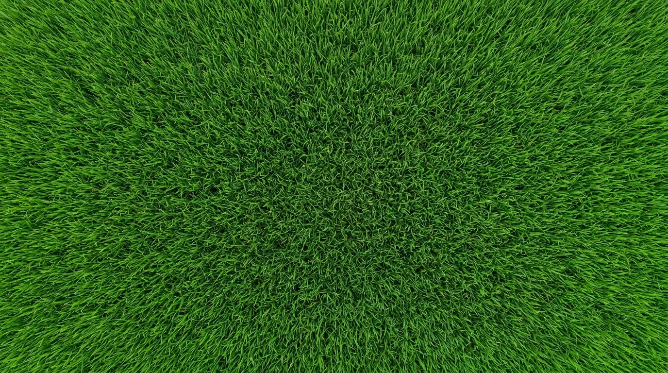 NaturoFarming agricultural field footer background